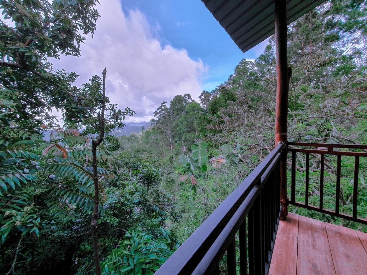 Serene Homestay Ella Exterior photo