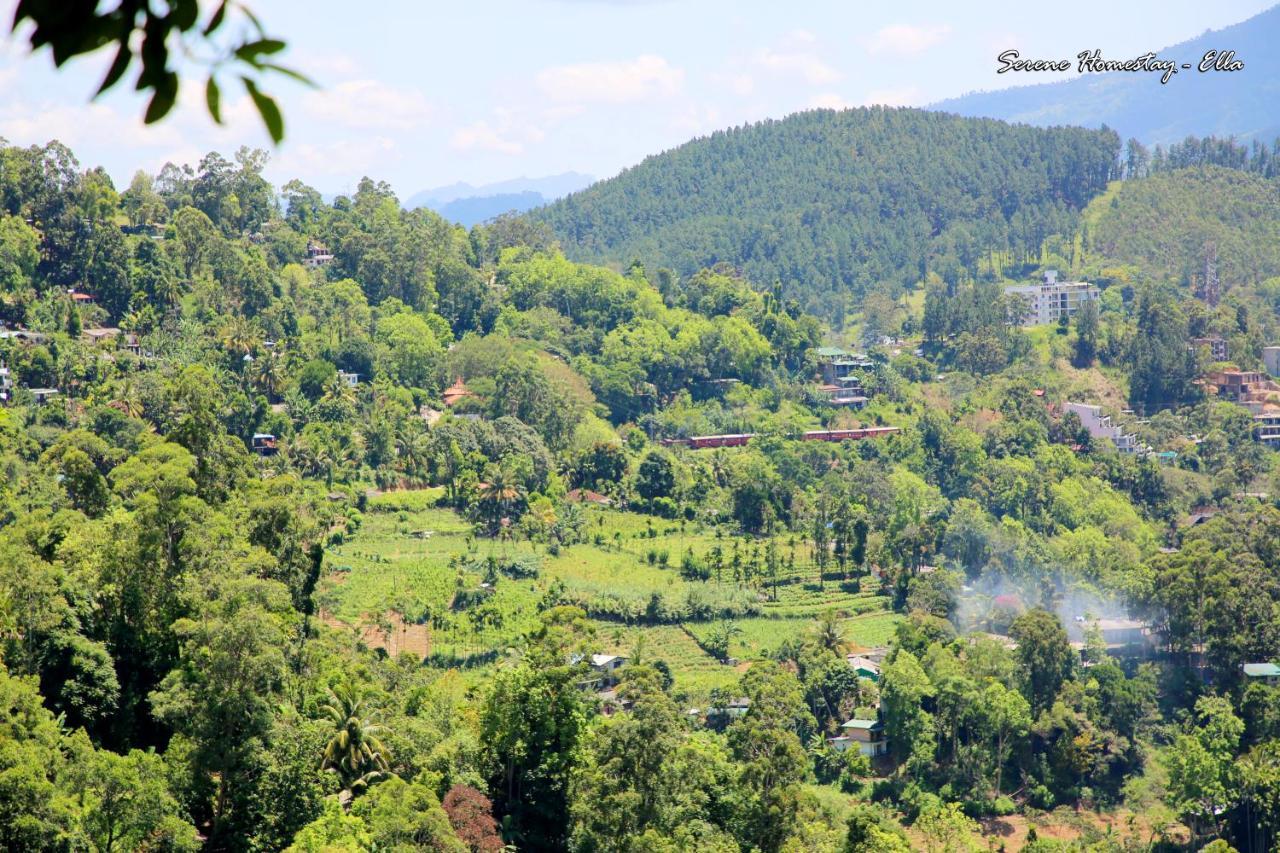 Serene Homestay Ella Exterior photo